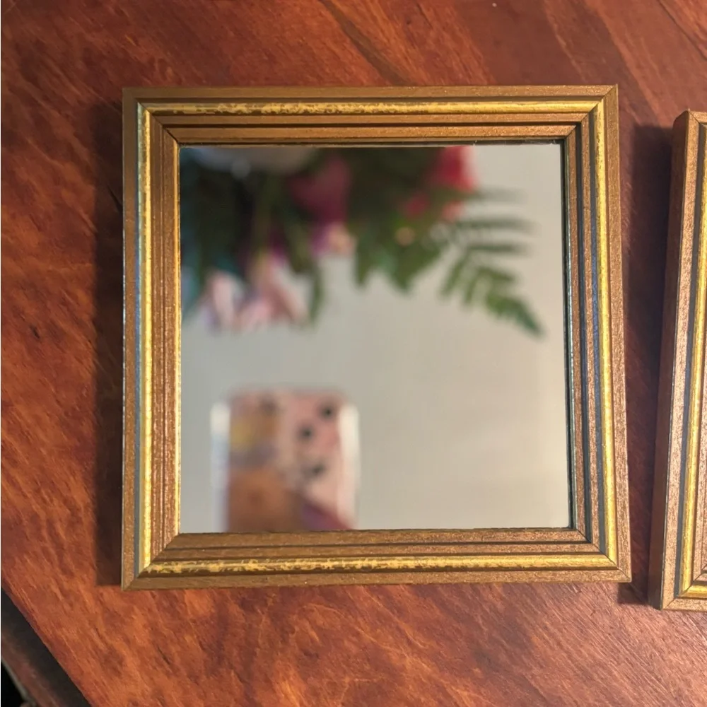Elegant Gold Framed accent Wall Mirrors set of 2
